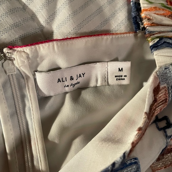 Ali & Jay Olvera Street White Multi Embroidered Mini Dress Medium - Picture 13 of 16